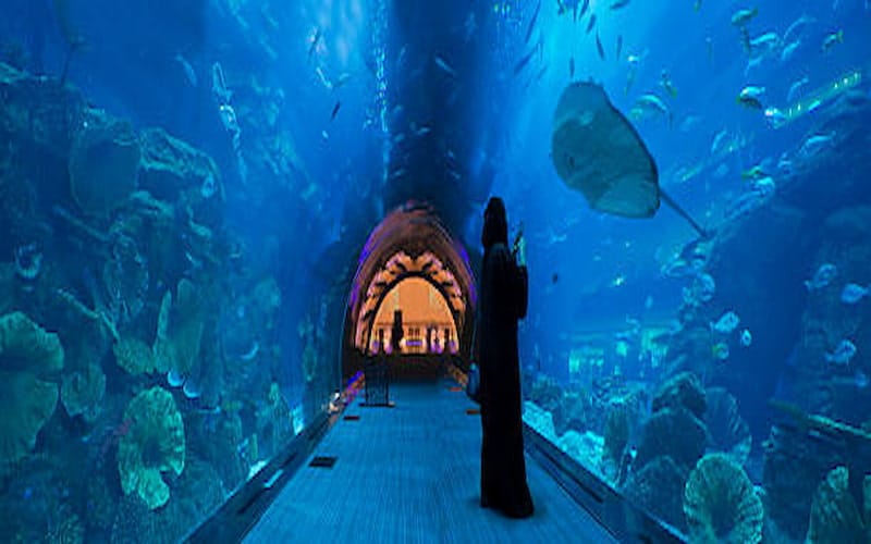 Dubai Mall Aquarium