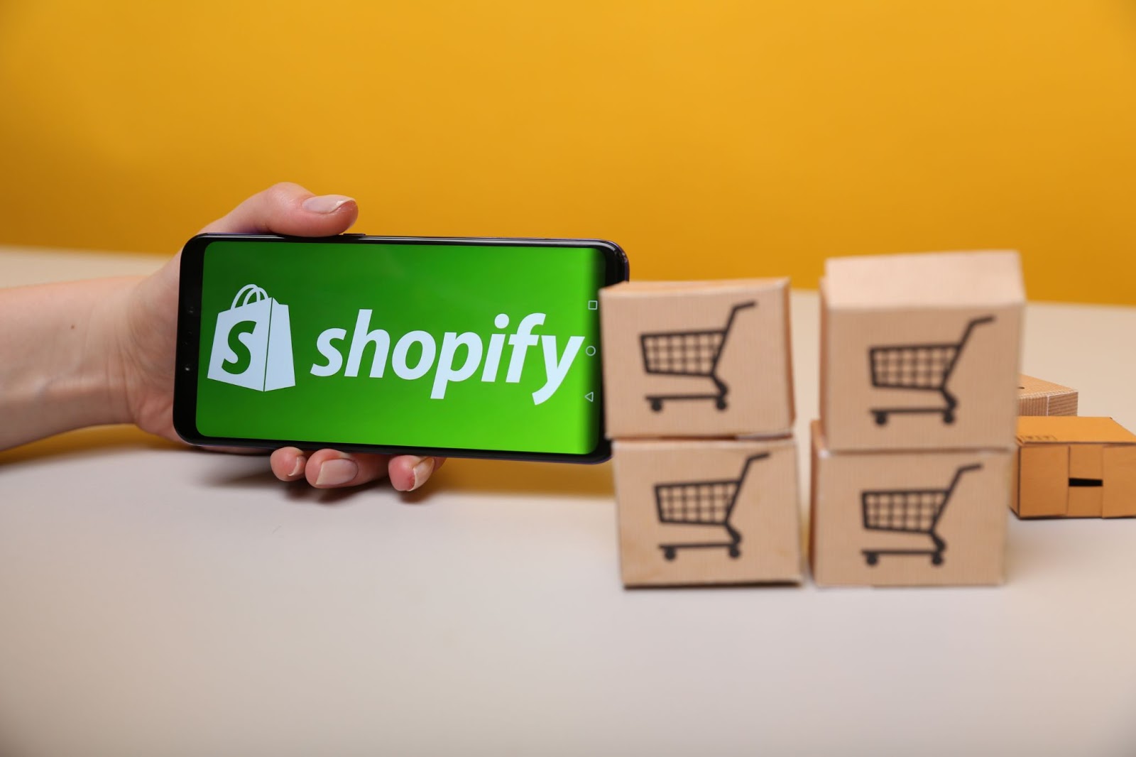 3D Shopify Setup