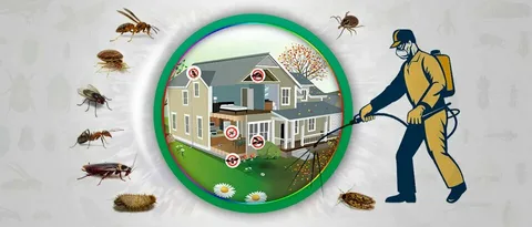 Pest Control Services in Lahore termite treatment in lahore