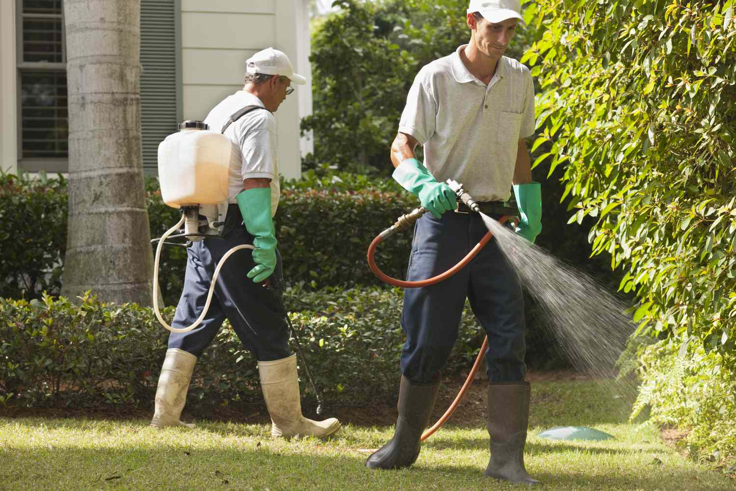 Pest Exterminator Near Me and Fumigation In Lahore