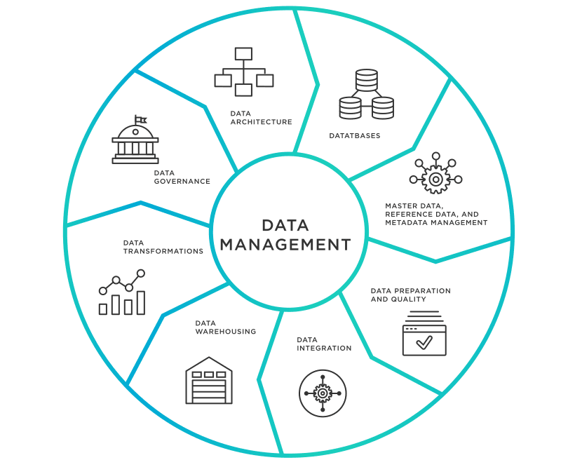 mastering governance data