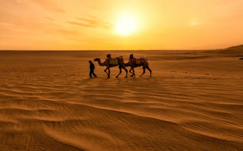 Desert Safari Dubai