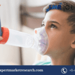 North America Respiratory Inhalers Market