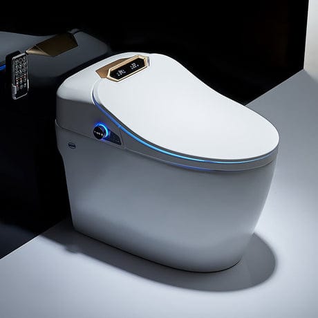 smart toilet