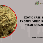 Exotic Cake Strain