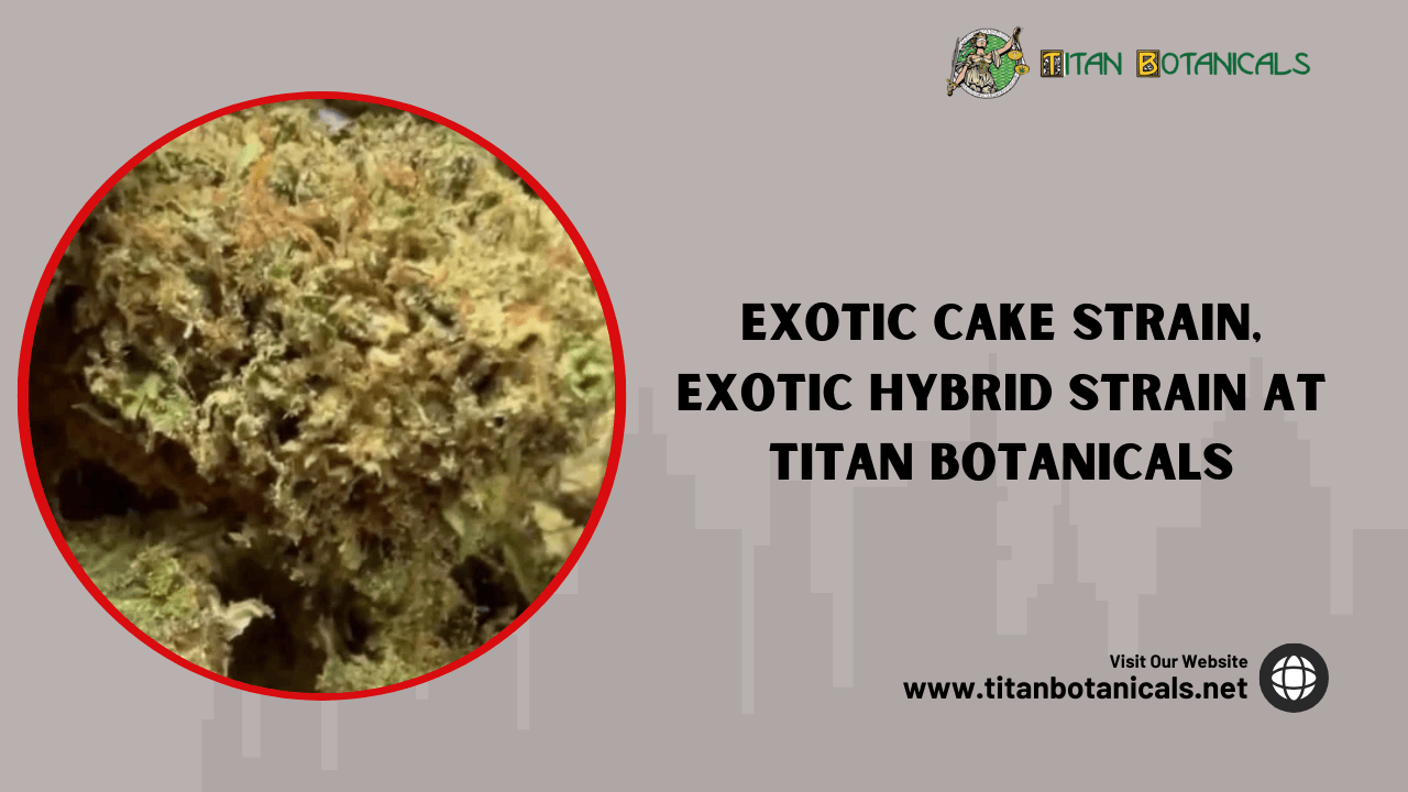 Exotic Cake Strain