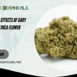 Gary Payton AA THCA Flower